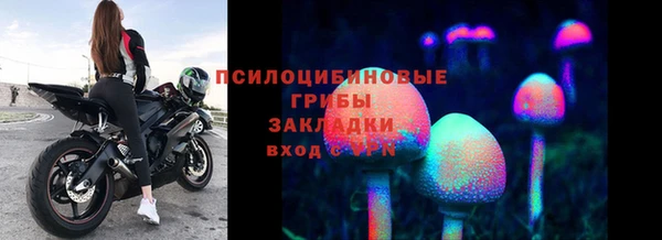 дурь Белоозёрский