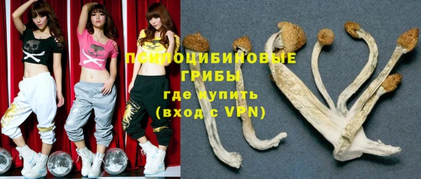 крисы Беломорск